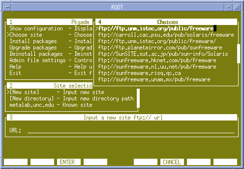 xterm screenshot